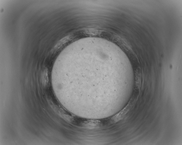 X0000085210128200703231517