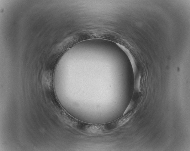 X0000085210129200703231517