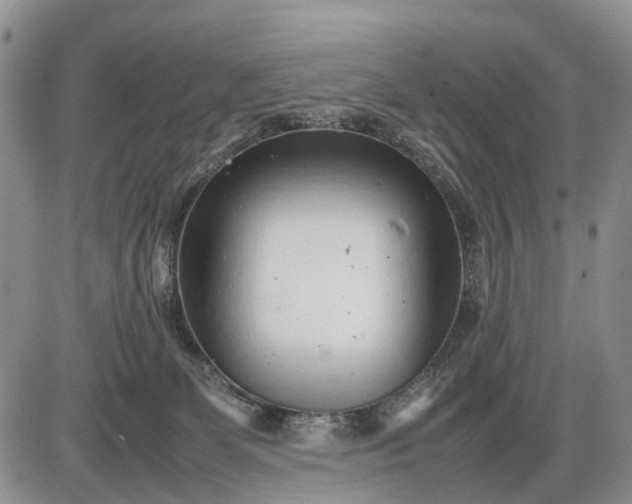 X0000085210131200703231516