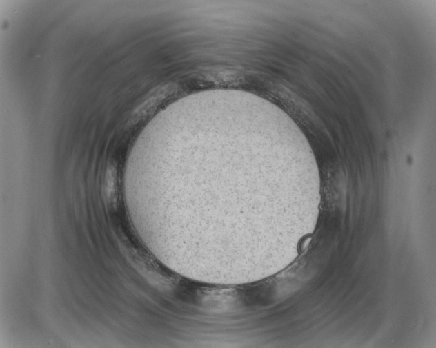 X0000085210132200703231516