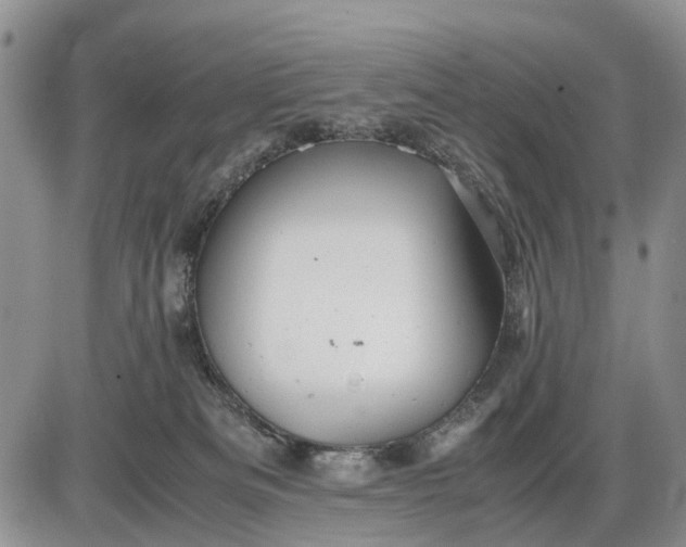 X0000085210133200703231516