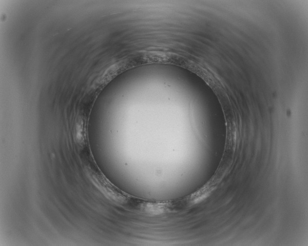 X0000085210134200703231516