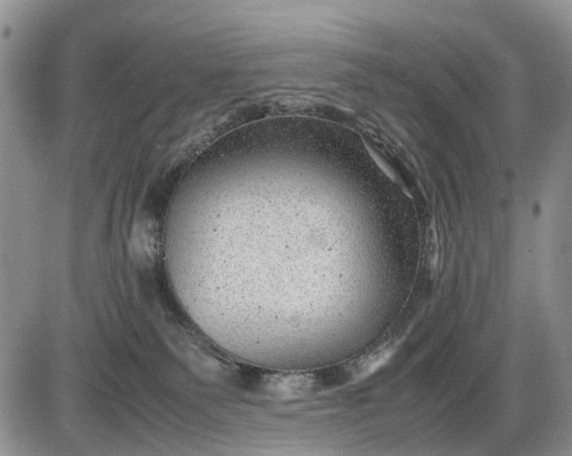 X0000085210135200703231516