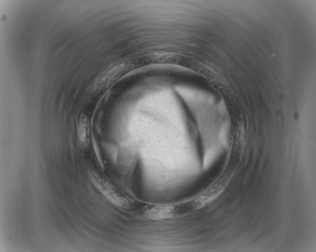 X0000085210138200703231516