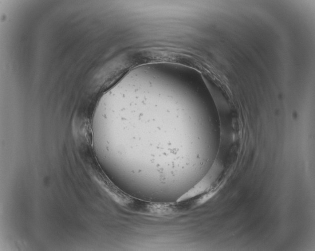 X0000085210141200703231516