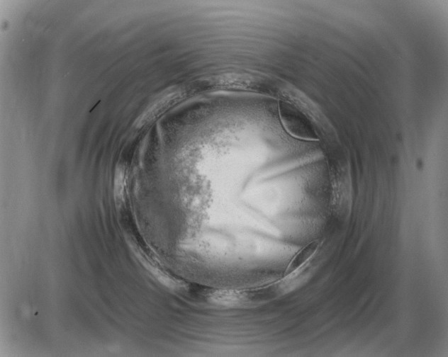 X0000085210142200703231516