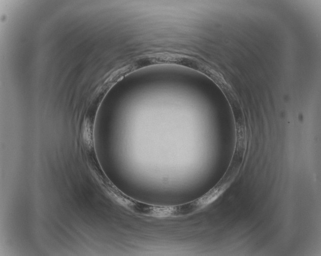 X0000085210143200703231516