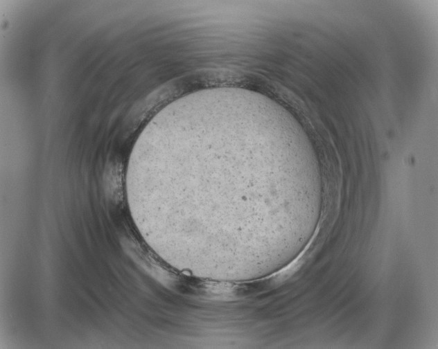 X0000085210144200703231516