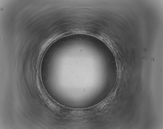 X0000085210145200703231515