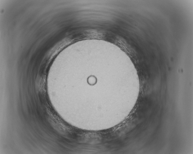 X0000085210146200703231516