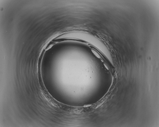 X0000085210148200703231516