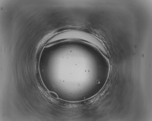 X0000085210149200703231516