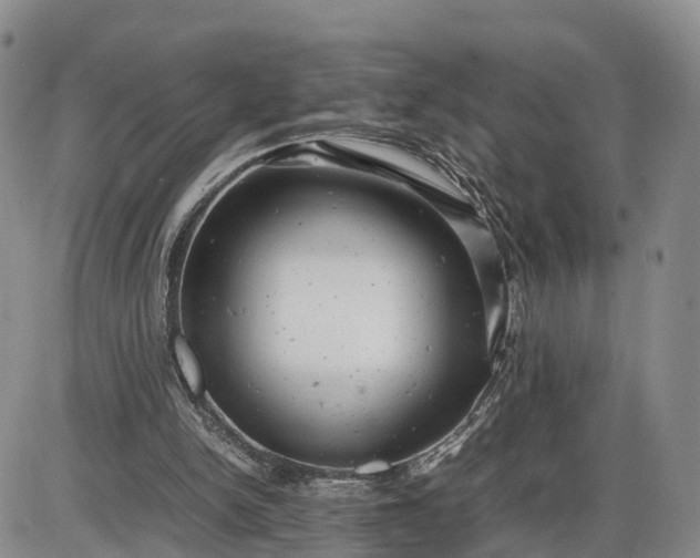 X0000085210150200703231516