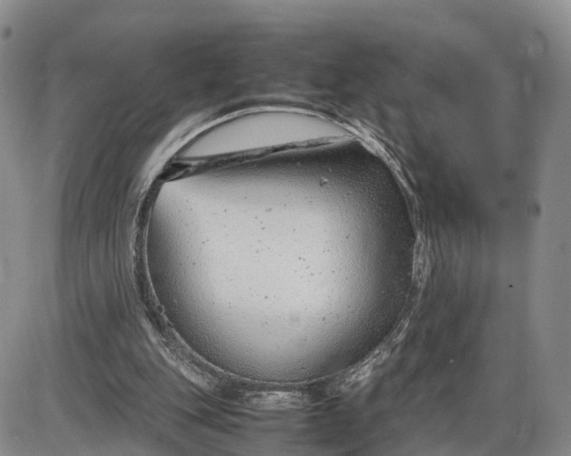 X0000085210151200703231516