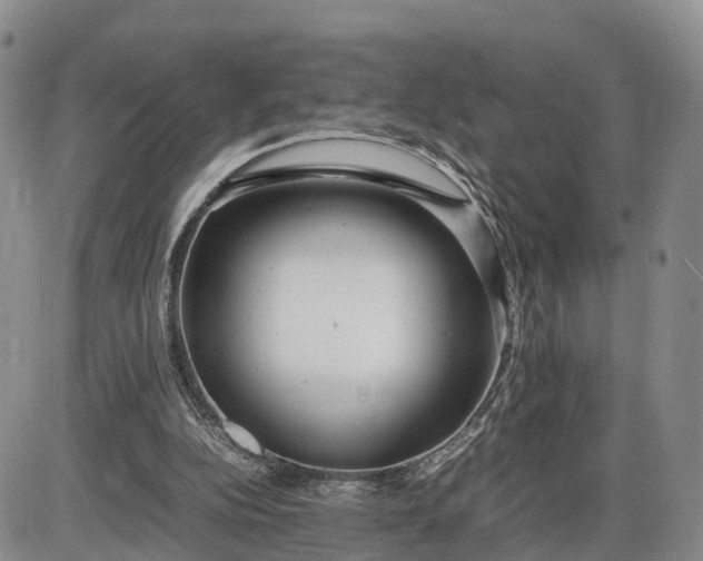 X0000085210152200703231516