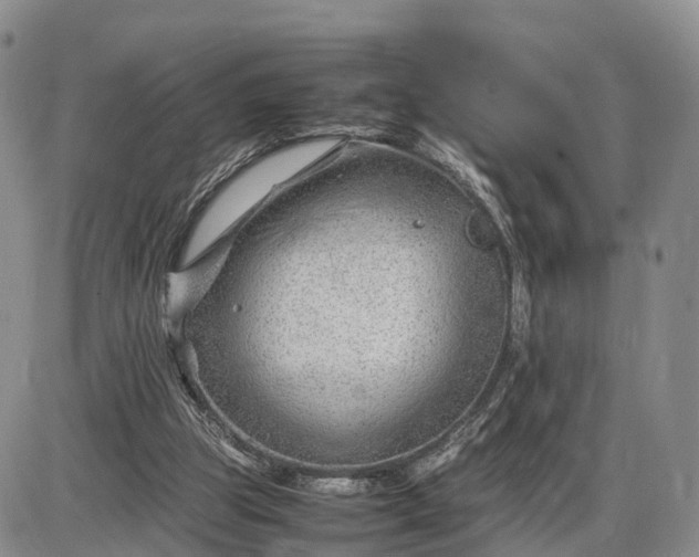 X0000085210153200703231516