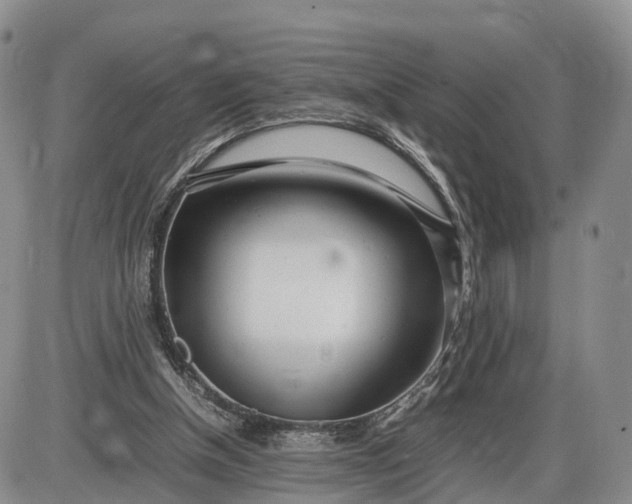 X0000085210154200703231516