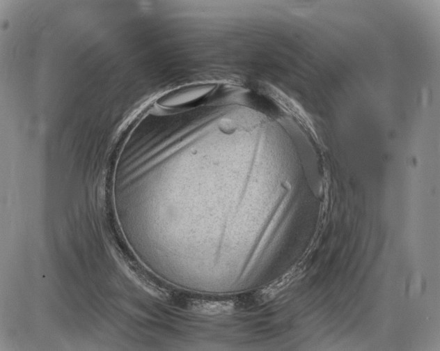 X0000085210155200703231516