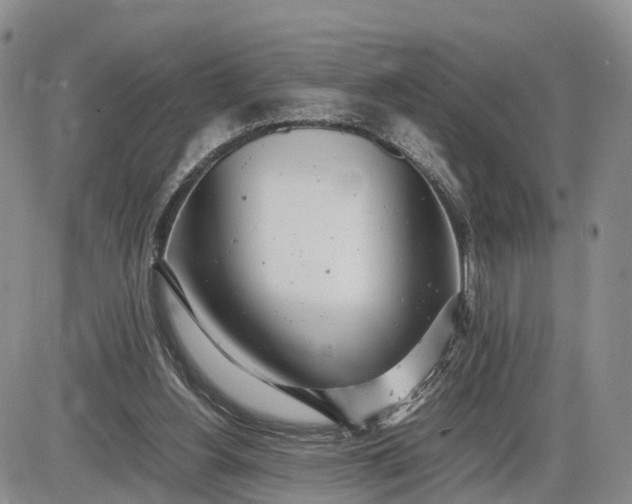 X0000085210156200703231516