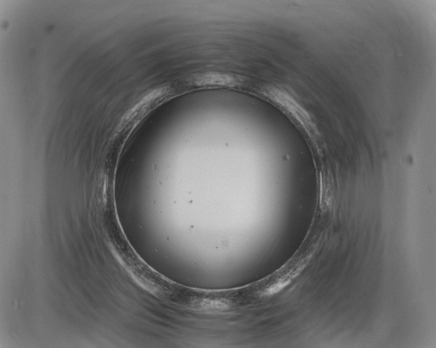 X0000085210157200703231516