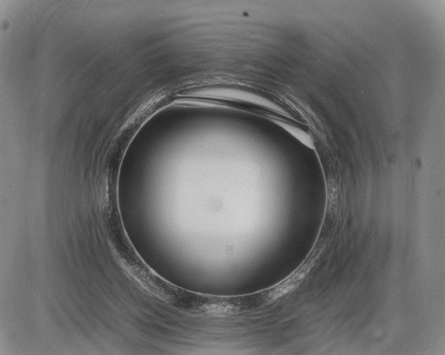 X0000085210158200703231516