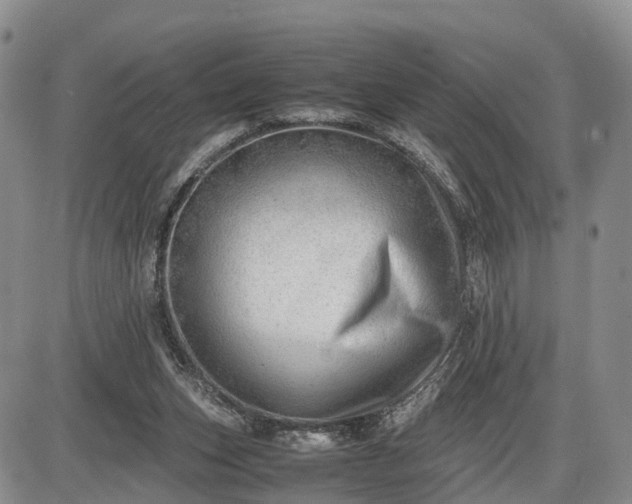 X0000085210159200703231516