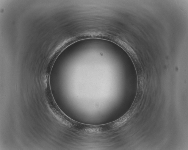 X0000085210160200703231516