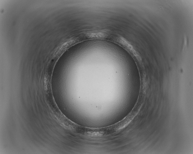 X0000085210161200703231516