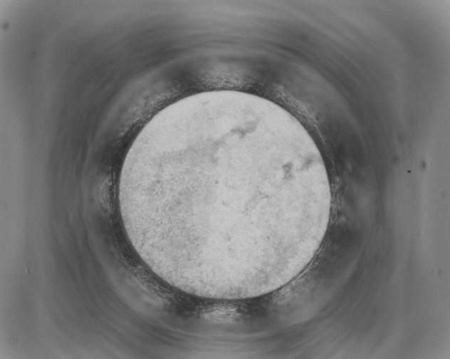 X0000085210162200703231516