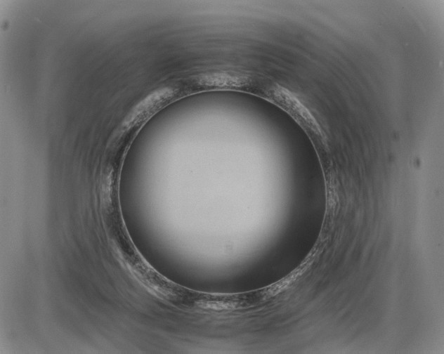 X0000085210163200703231516