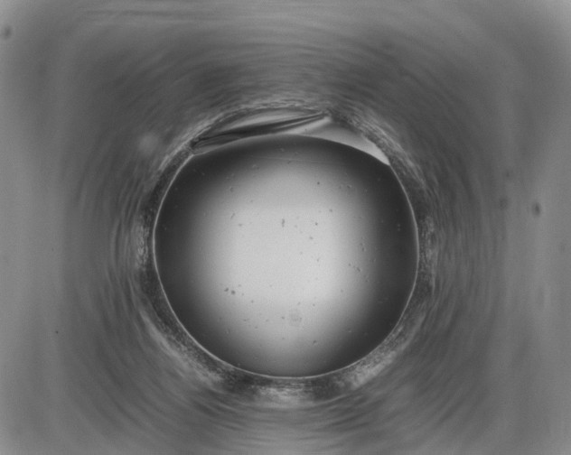 X0000085210164200703231516