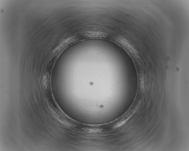 X0000085210165200703231516