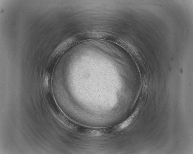 X0000085210166200703231516