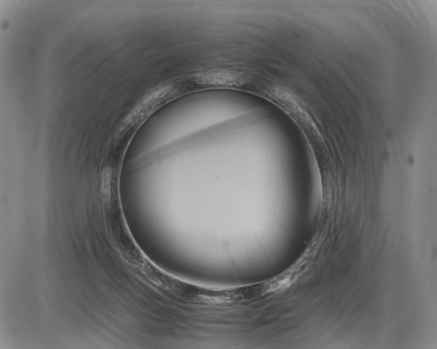 X0000085210167200703231516