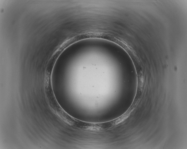 X0000085210168200703231516