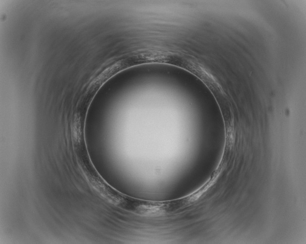 X0000085210170200703231516