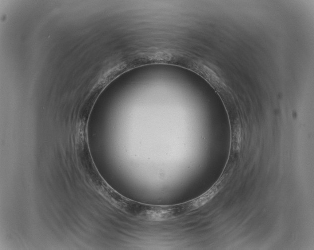 X0000085210172200703231516