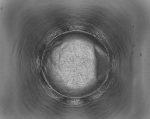 X0000085210173200703231516