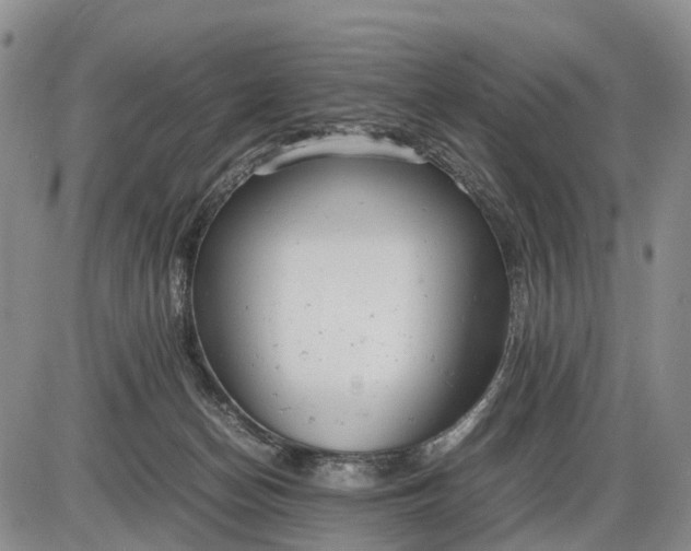 X0000085210174200703231516