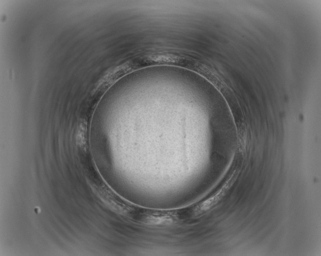 X0000085210175200703231516