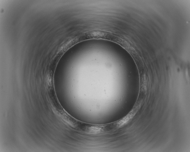 X0000085210176200703231516