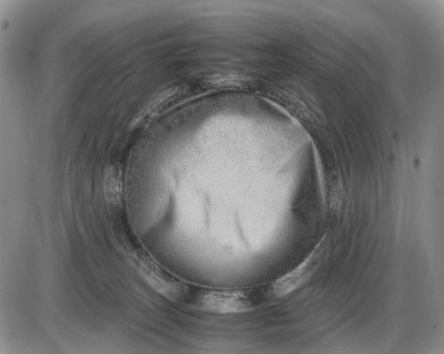 X0000085210179200703231516