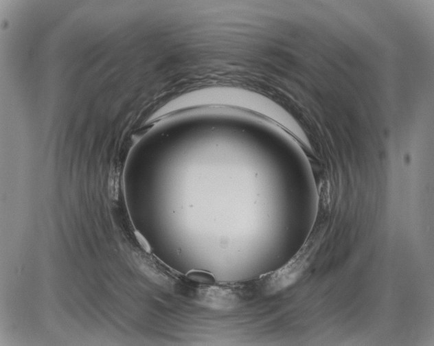 X0000085210180200703231516