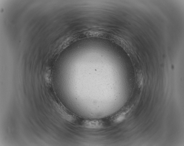 X0000085210181200703231516