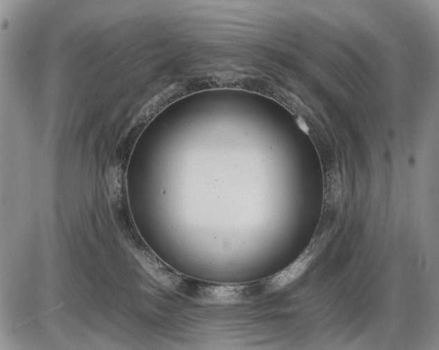 X0000085210184200703231516