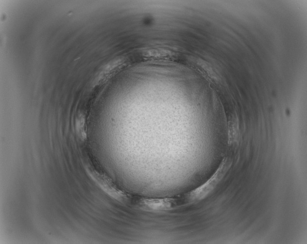 X0000085210187200703231516