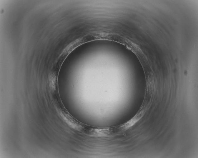 X0000085210188200703231516