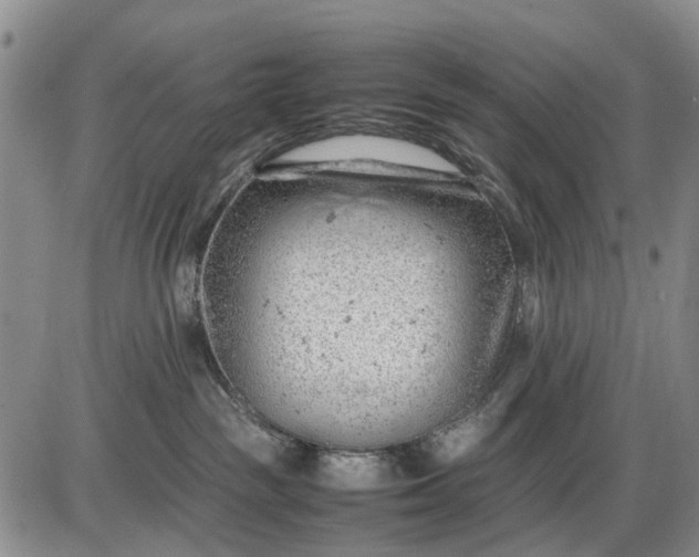 X0000085210189200703231516