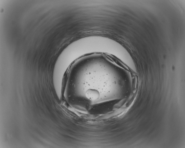 X0000085210190200703231516