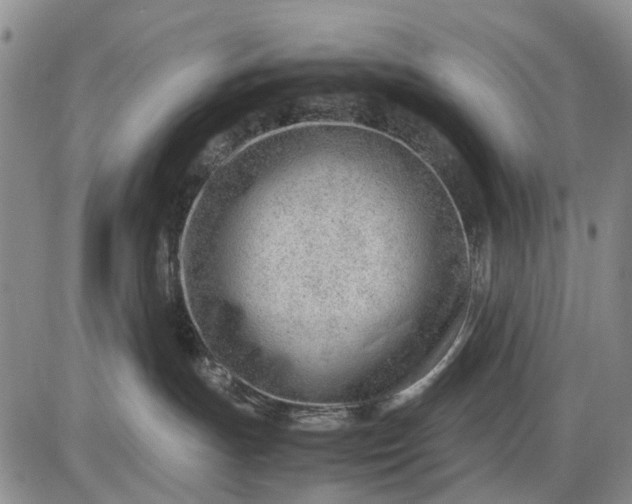 X0000085210191200703231516